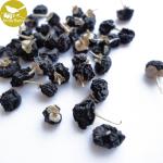 2018 crop organic wild black wolfberry,black goji berry manufacturer, 250G/500G