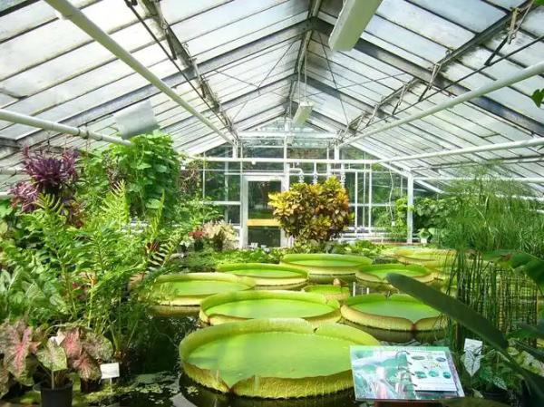 Buy cheap 4mm tempered greenhouse glass from wholesalers