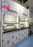 Wall Mounted Automatic Shutoff Ducted Fume Hood With Regular Maintenance 400W