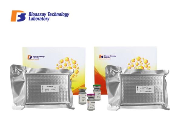 96 Wells 48 Wells Strong Sensitivity and SpecificityMouse LR Ob-R Lepr ELISA