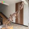 Buy cheap Waterproof Fiberglass Dinosaur Skeleton Replicas For Museum Exhibition from wholesalers