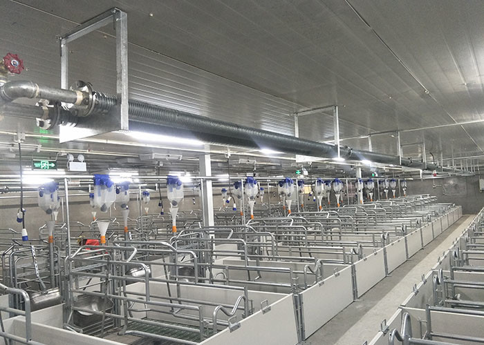 Incubator Lamp Heating Sow Farrowing Crate With Drinking Bowl