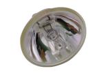 24V 250W Halogen Lamp Reflectors MR16 3250K GX5.3 200 Hours Lifetime high bay