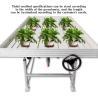 Buy cheap Flower Vegetable Growing Rolling Grow Table with PC Sheet Cover Material from wholesalers