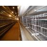 Buy cheap H Type Layer Chicken Cage Automatic Poultry Equipment Battery Cage For Layer Chicken from wholesalers