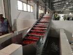 Energy Saving Tomato Paste Production Line For Washing Drying 100T/D