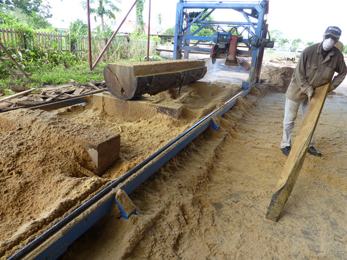 Twin Blade Sawmill Log Cutting Saw Swing Blade Sawmill, Angular Disk Saw