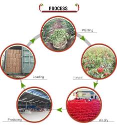 Neihuang Xinglong Agricultural Products Co. Ltd