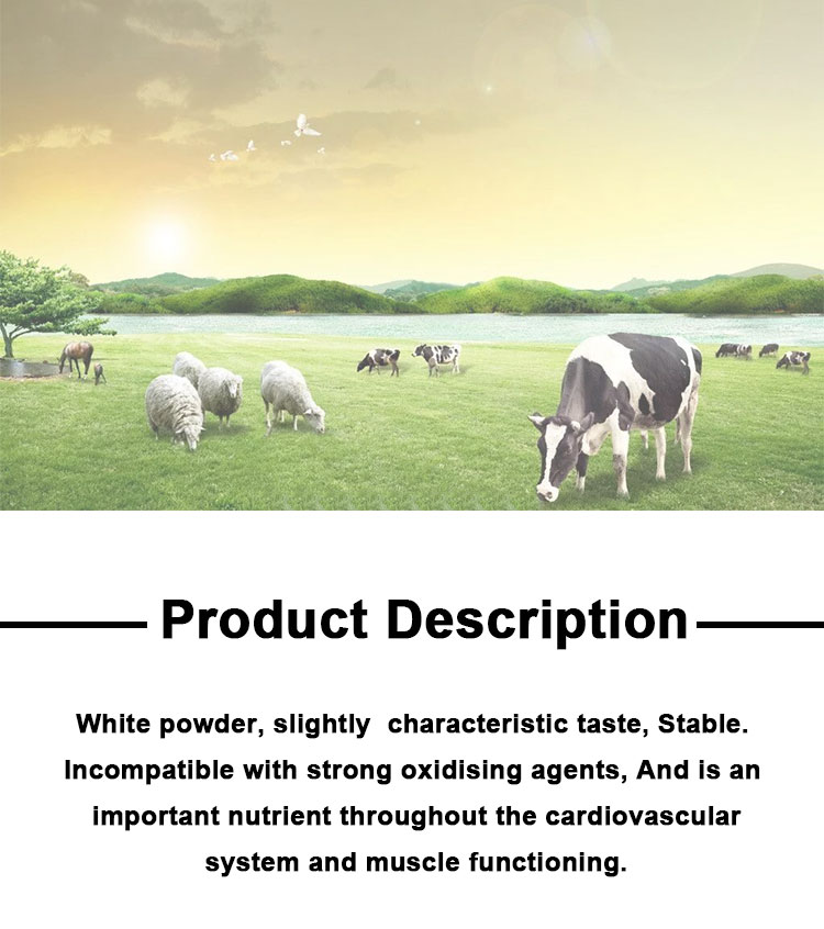 Feed Grade DL Methionine 99% Powder for Poultry Feed Additive Preservatives Efficacy