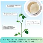 Mango Amino Acid Calcium Magnesium Zinc Boron Powder Fertilizer Vegetable Fruits
