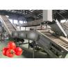 Buy cheap Food Grade 304SUS Tomato Production Line Customized 100T/D from wholesalers