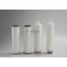 Buy cheap Pleated PES Membrane Filter Cartridge , RO Water Filter Cartridge 0.22um 10" from wholesalers
