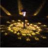 Buy cheap 5.18 Pounds 2Volt Waterproof LED Solar Garden Lights from wholesalers