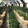 Buy cheap Medical Growing Blackout Light Dep Green House 9X32M Tunnel Greenhouse from wholesalers