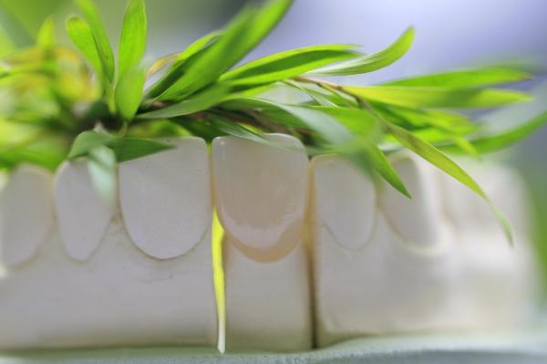 Buy cheap Natural Permanent Glass Ceramic Dental Crown For Anterior Teeth from wholesalers