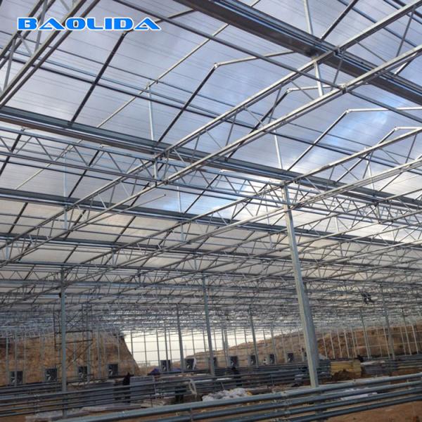 Buy cheap Multi Span Venlo Type Greenhouse / PC Polyethylene Film Greenhouse Sides Ventilation from wholesalers