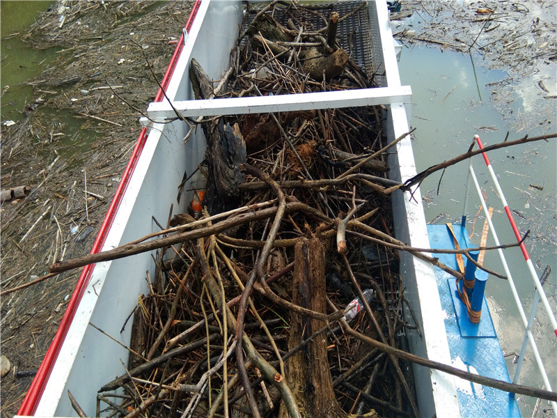 Duckweed Reed 1000m3 Floating Algae Harvester Machine Water Grass Harvester