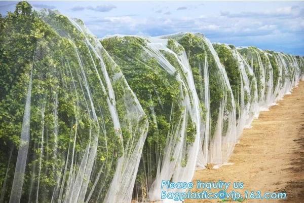Buy cheap Plastic Anti Bird/Hail/Insect Plants Protection Net for Agriculture,insect repellent net/20x10 Anti Aphid Net/Greenhouse from wholesalers