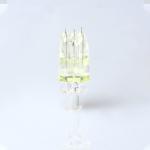 32G 34G 16 pins Adjustable disposable mesotherapy needle meso nano needles for
