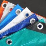 500D-1500D Yarn Count PE Coated Tarpaulin Sheet for Outdoor Truck Tent