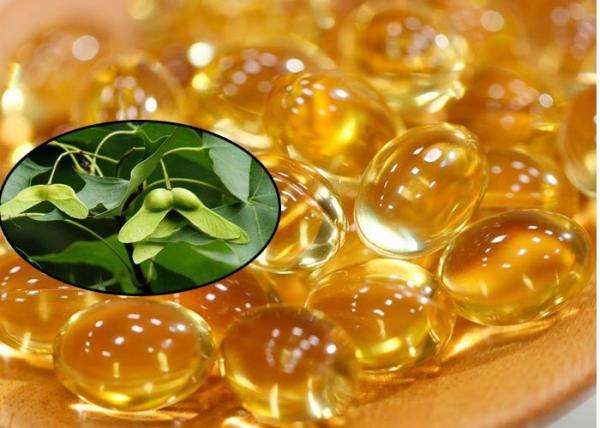 Buy cheap Nerve Acid Cold Pressed Organic Maple Seed Extract Oil from wholesalers