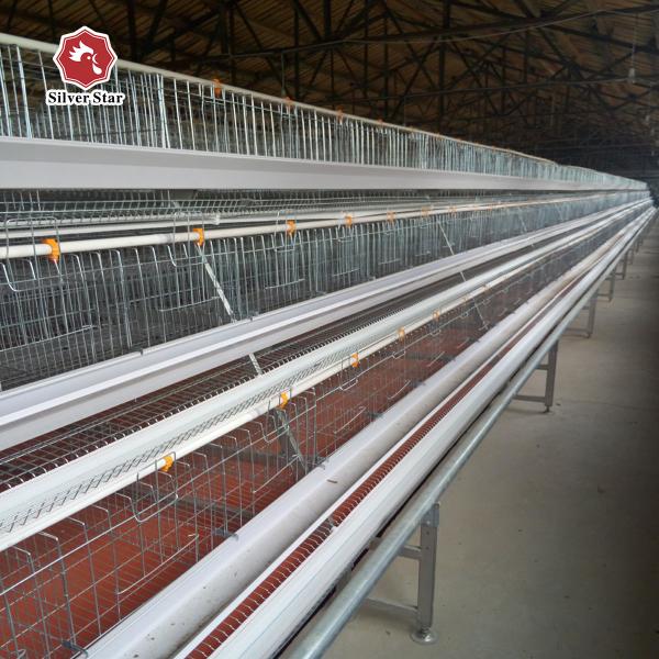 Buy cheap 160 Birds / Set Full Automatic Battery Cage System Poultry Farming Equipment from wholesalers