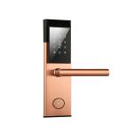 Ss Digital Electronic Keyless Door Locks 300mm Hotel Room Door