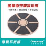 Ankle Physiotherapy Rehabilitation Equipment Yoga Fitness Balance Board