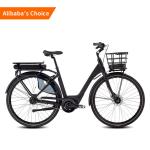 Velo Electrique Electric Dirt Bike 80Nm 36v Lithium Battery