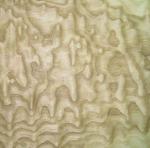 Sliced Cut Natural Ash Burl Wood Veneer Sheet