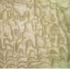 Buy cheap Natural Chinese Ash Burl Wood Veneer Sheet For Decoration from wholesalers