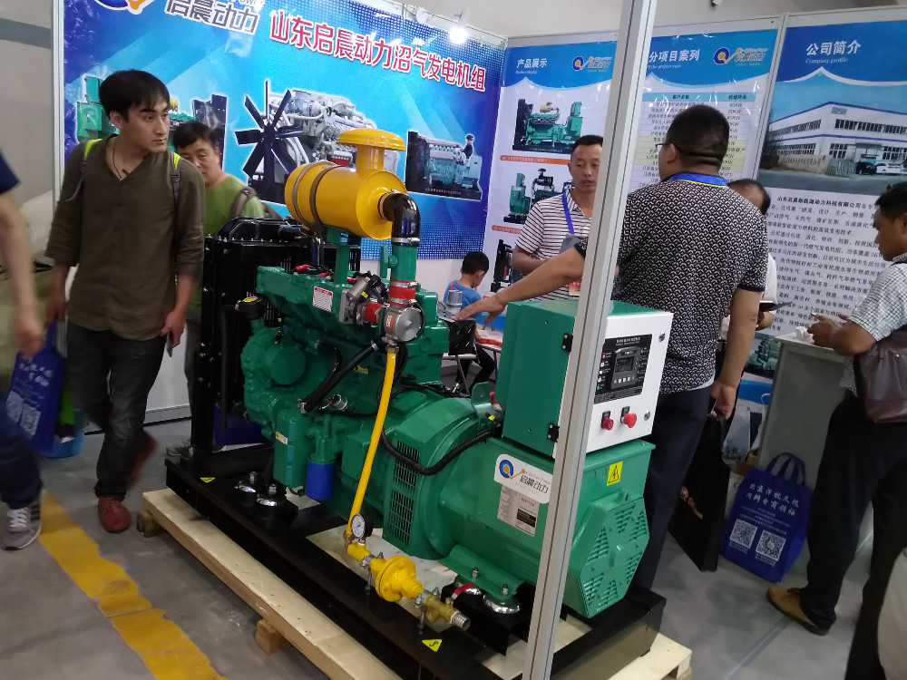 Portable Natural Gas Generator Natural Gas Generator for Sale