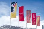 Eliminating Noise Advertising Flag Pole , Durable Stylish Commercial Flag Pole