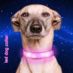 C903 Safety Nylon Webbing USB Rechargeable LED Pet Collar Leash Led Dog Collars