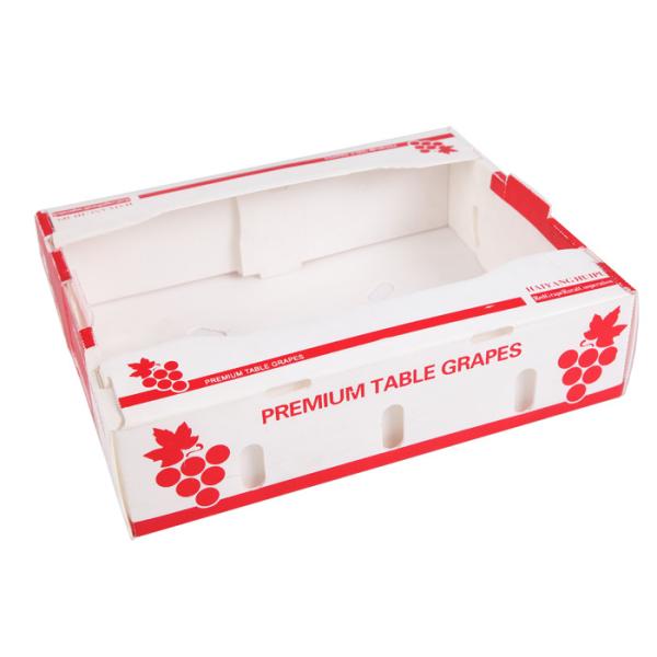 Anticorrosive Corrugated Plastic Packing Box Vegetable Fruit Coroplast Shipping