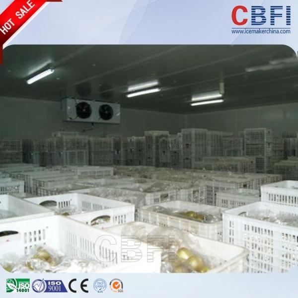 Buy cheap CBFI 500 Tons Fruits Vegetables Freezer Cold Room With Compressor Unit from wholesalers