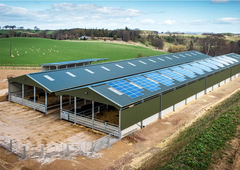 ASTM Standard Prefabricated Steel Frame Houses For Cow Shed Construction