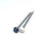 Buy cheap A2 Stainless Steel Shatterproof Plastic Head Nails For Fascia And Soffit from wholesalers