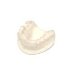 Flexibility Strength Dental Resin 3d Printing