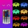 Buy cheap SMD5050 5M DC12V High Output LED Strip Light from wholesalers