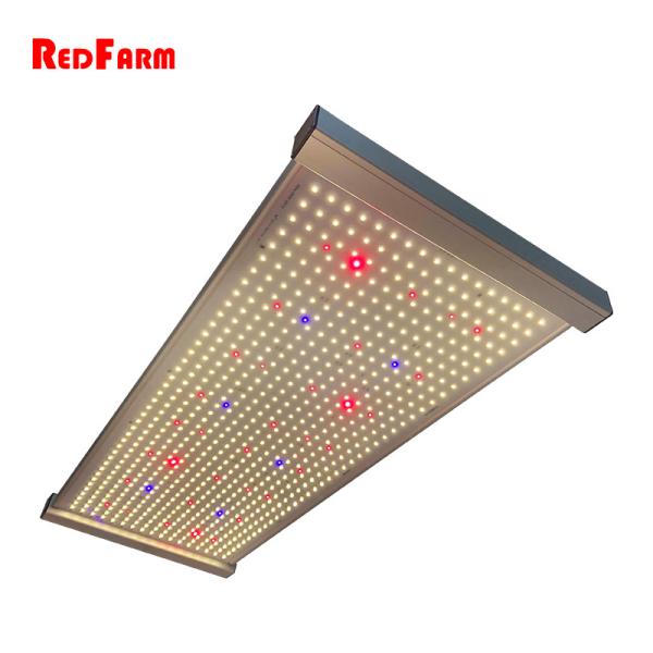 Buy cheap Horticulture Lighting Quantum Board LED Grow Lights Veg Bloom For Grow Tent from wholesalers