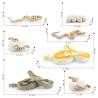 Buy cheap Python Boa Life Cycle Figure Model Toy For Boys Girls Kids from wholesalers