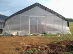 Single Span Agricultural Greenhouses Shading Net Film Greenhouse For Tomato