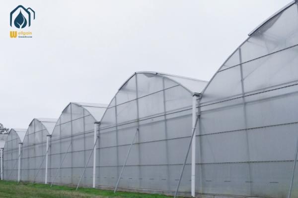 Buy cheap Large Scale Hydroponics Multi Span Greenhouse For Modern Farmers from wholesalers