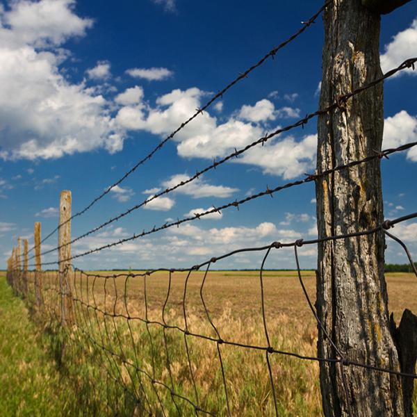 Buy cheap Shiny Appearance Extremely Sharp Barbed Wire Fence For Farm Forest from wholesalers
