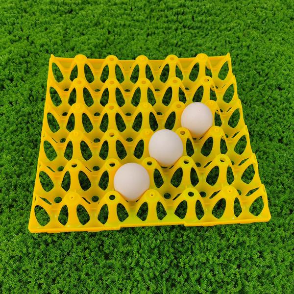 Buy cheap 30 Holes Rectangular Plastic Egg Tray Eco Friendly from wholesalers