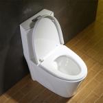 Top Flush Button Compact Elongated Toilet Siphonic Dual Flushing System