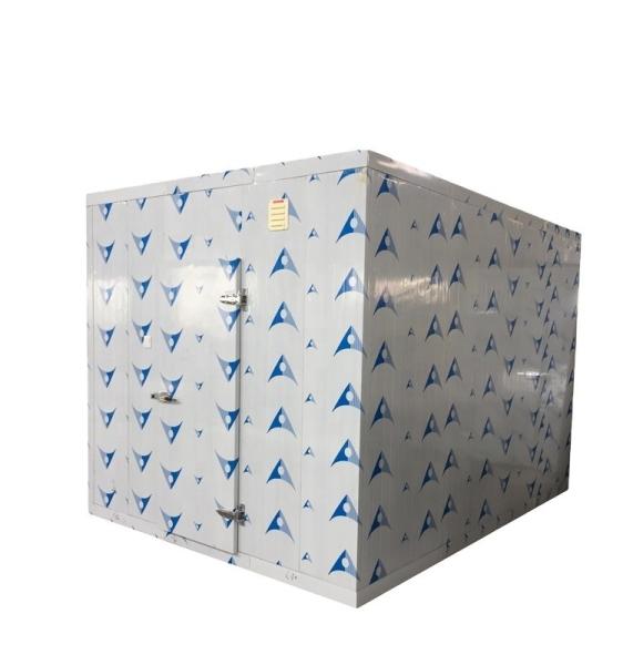 10CBM Cold Room Freezer Vegetables Fruits Fish Walk In Freezer Room High