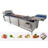 Buy cheap 13.8KW Vegetable Fruit Washing Machine Salad Lettuce Spinach Processing Line from wholesalers