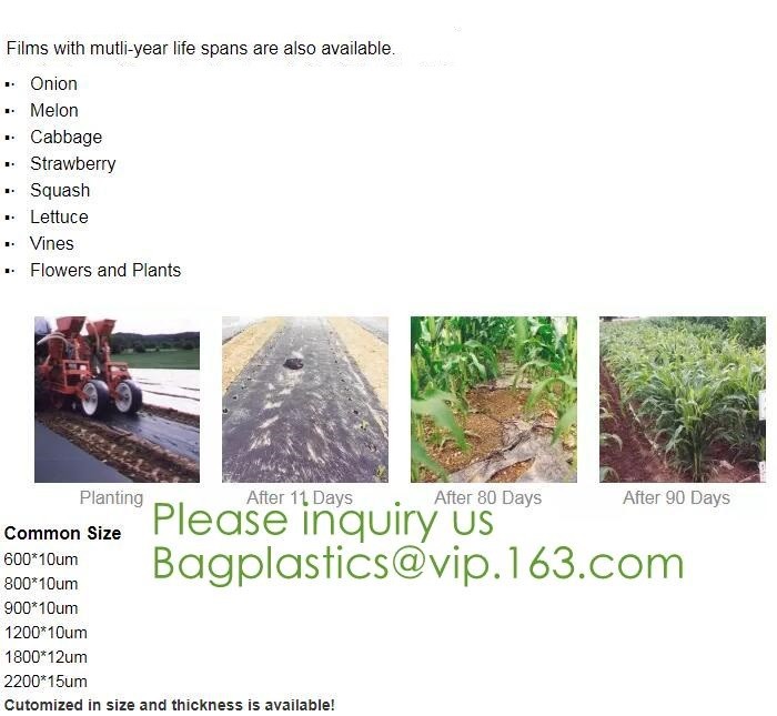 100% Eco-friendly Material Certified PLA Compostable Bag,Corn Starch T Shirt Bag Meet EN13432 BPI Biodegradable And Comp